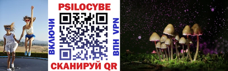 Псилоцибиновые грибы Cubensis  купить наркотики сайты  Кыштым 